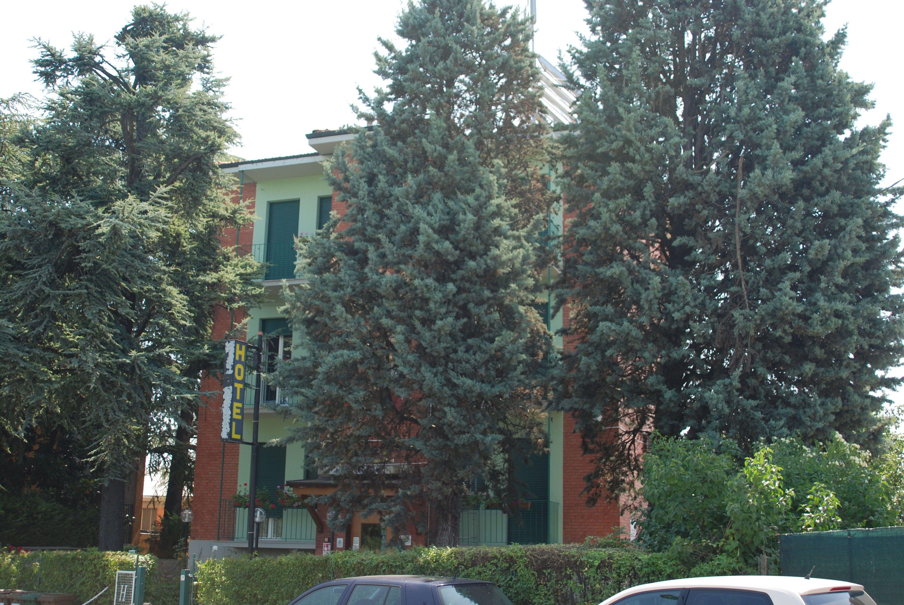 Hotel Tuscolano — Foto 3
